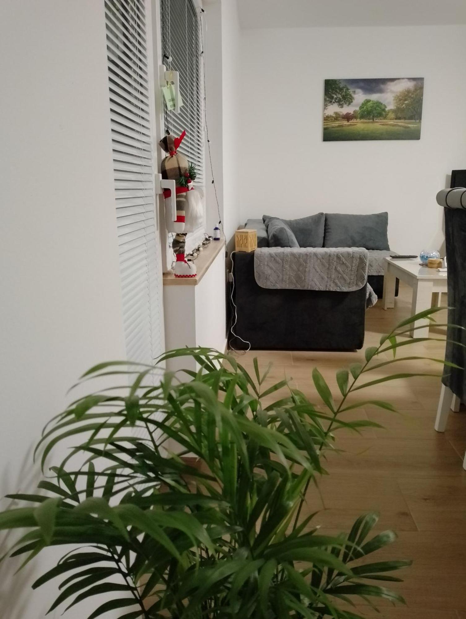 Apartman Dve Lipe Palić Exteriér fotografie
